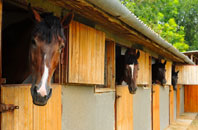 free Bedlington stable construction quotes